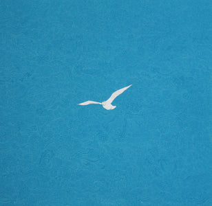 Flying bird